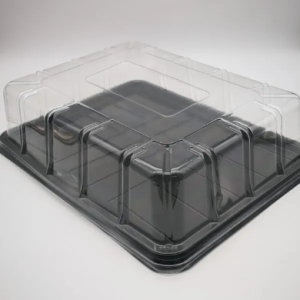 Square Cake Dome and Base