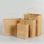 Craft Paper Bags