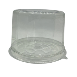 Cake Dome and Base