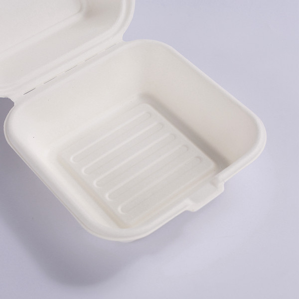 6" BIODEGRADABLE TAKEAWAY CONTAINER FOR BENTO CAKES  - 5 PCS