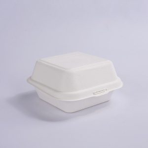 6" BIODEGRADABLE TAKEAWAY CONTAINER FOR BENTO CAKES  - 5 PCS
