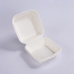 6" BIODEGRADABLE TAKEAWAY CONTAINER FOR BENTO CAKES  - 5 PCS