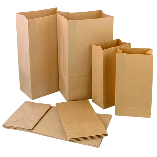 Brown Shopper Paper Bag