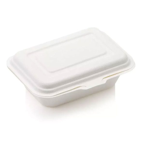 8" Biodegradable Takeaway Container - 5pcs
